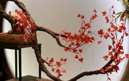日式枫叶图片
