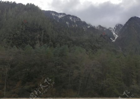 大山山林风景图片