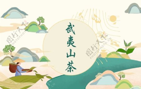 武夷山茶叶插画图片