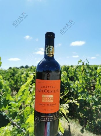 法国康曼笛庄园卡萨图葡萄酒图片