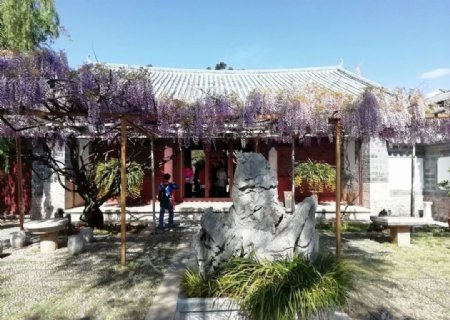 紫藤萝园子图片