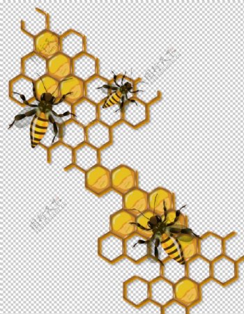可爱卡通蜜蜂蜜罐蜂蜜超清图片