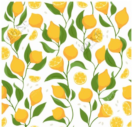 柠檬花卉背景底纹图片