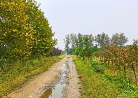 深秋时节的乡村风景图片