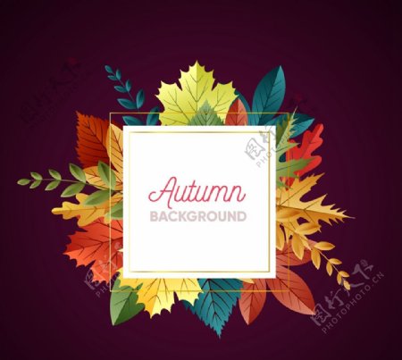 彩色秋季树叶背景图片