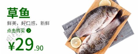 草鱼鱼草鱼海报食品类图片