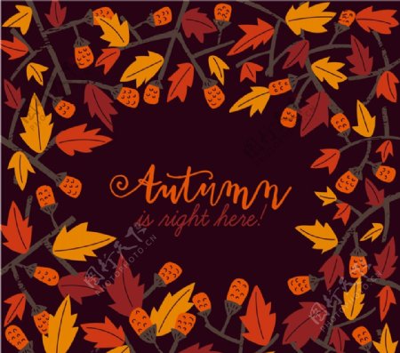 秋季树叶和果实框架图片