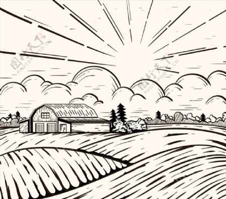 阳光下的农场风景图片