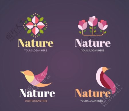 抽象花鸟自然标志图片
