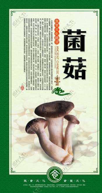 菌菇图片