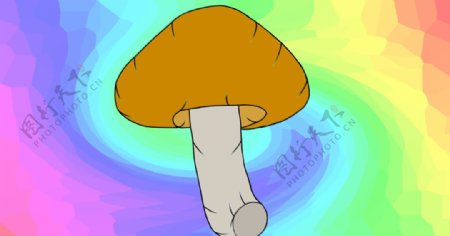 香菇卡通图片