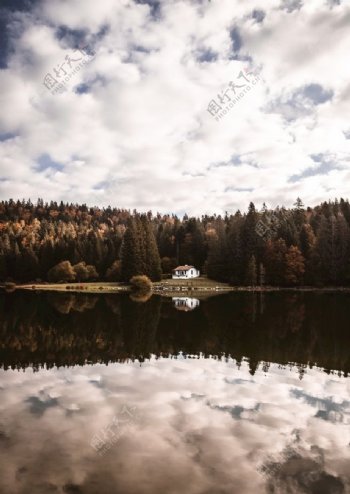 森林树木湖面清湖湖泊图片