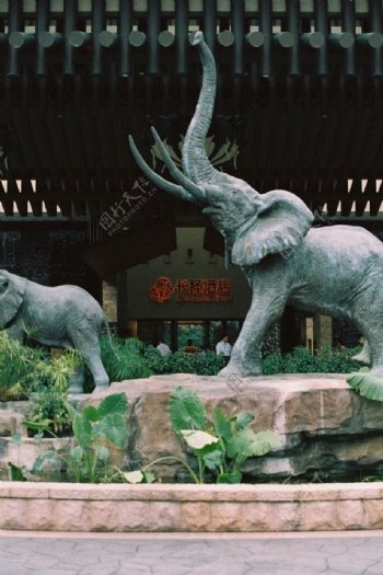 长隆酒店石雕大象图片