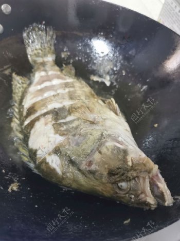 一锅鳜鱼图片