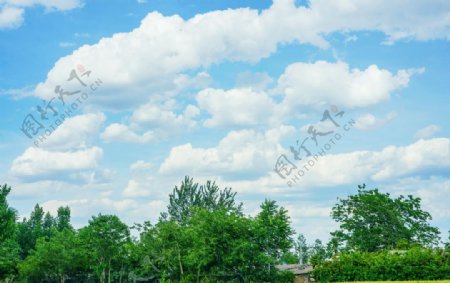 蓝天白云绿植图片