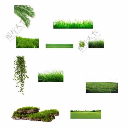 草地绿植图片