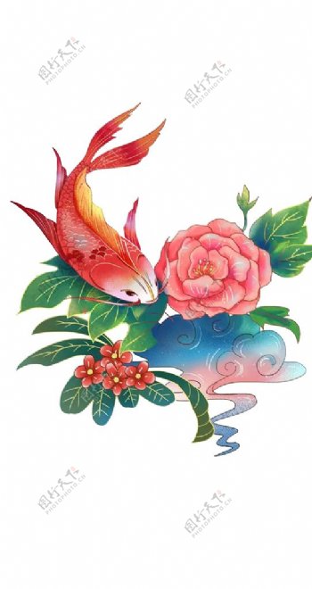 中国风锦鲤插画图片