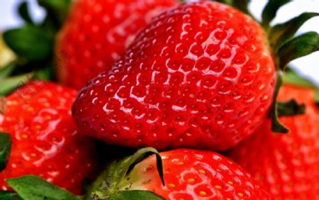 鲜艳欲滴的草莓图片