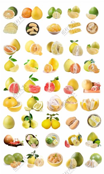 柚子免抠图汇总图片