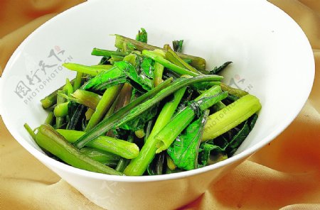 武汉红菜苔图片