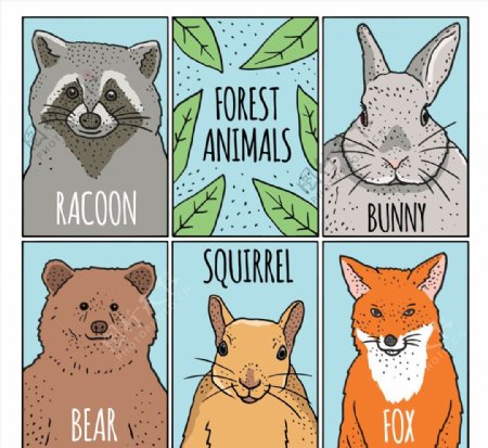 彩绘森林动物卡片图片