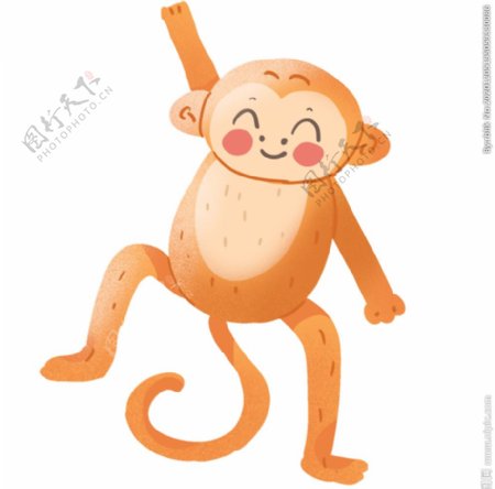 小猴子插画图片