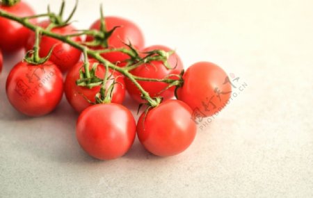 红彤彤的的西红柿图片