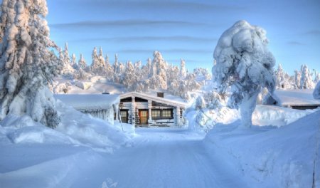 雪景图片