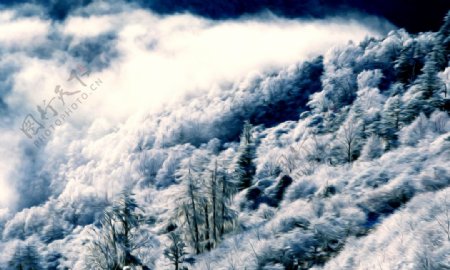 冬雪风景油画图片