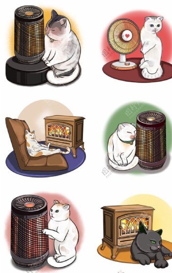 取暖的猫套图图片