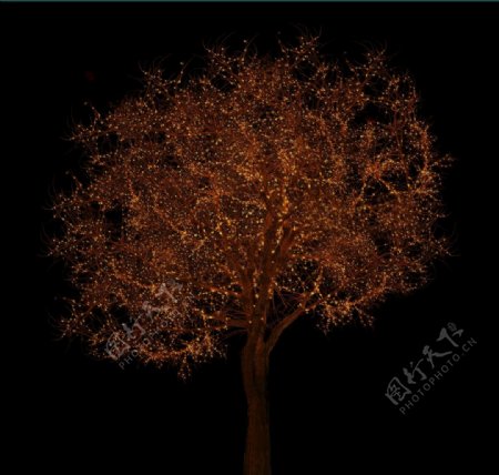 夜景树枯树冬树发光树合成图片